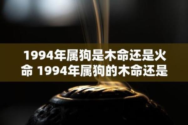木命与火命:探寻最契合的生肖属相 木命与火命:探寻最契合的生肖属相