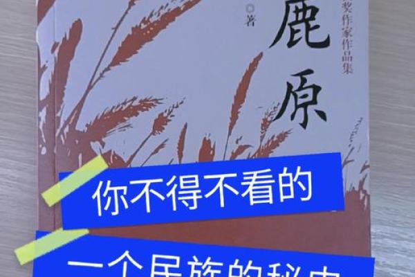 1975年：一段难忘的岁月与时代印记