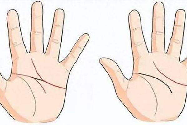 双手断掌男人的命运：与众不同的生活轨迹与潜在优势