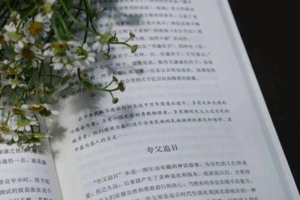 从命运中寻求智慧:从成语“命中注定”看人生哲学 从命运中寻求智慧:从成语“命中注定”看人生哲学