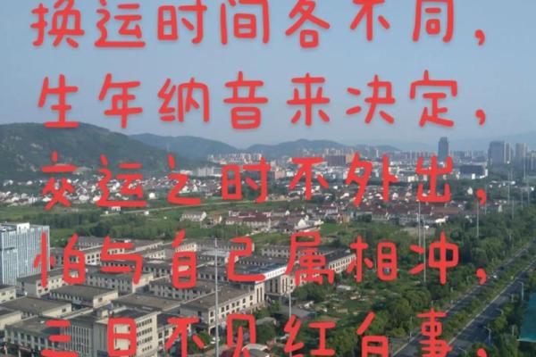 1995年猪年出生的人究竟是什么命？火命、土命还是金命大揭秘！