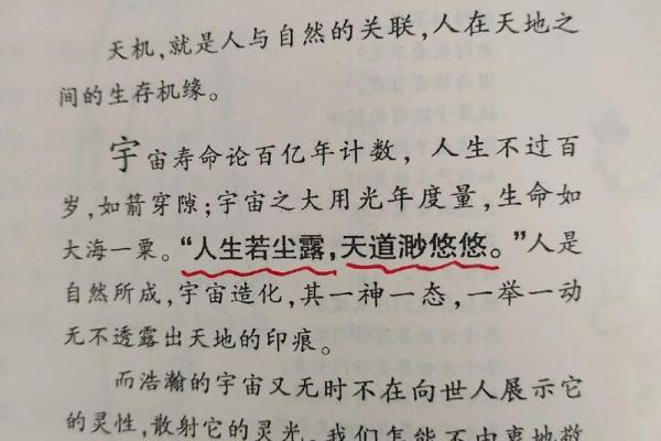 金薄金命与水命的最佳搭配：寻找命理中的和谐之道