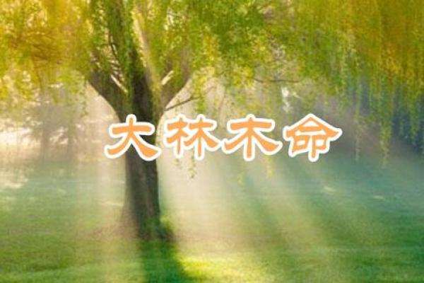 大林木命与最佳命配探秘：如何选择与你相辅相成的命运搭档？