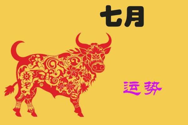 2013-2014年运势揭秘:你该如何把握命运的转机? 2013-2014年运势揭秘:你该如何把握命运的转机?