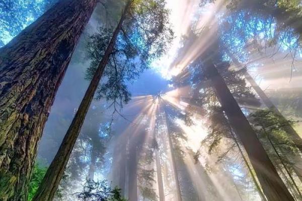 82.83年出生人的命运解析:探寻生命的意义与发展之路 82.83年出生人的命运解析:探寻生命的意义与发展之路