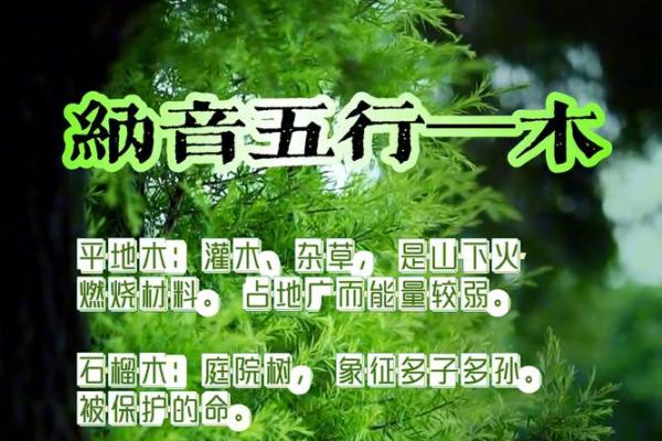五行命与纳音命的奥秘探讨：揭示命理的双重视角