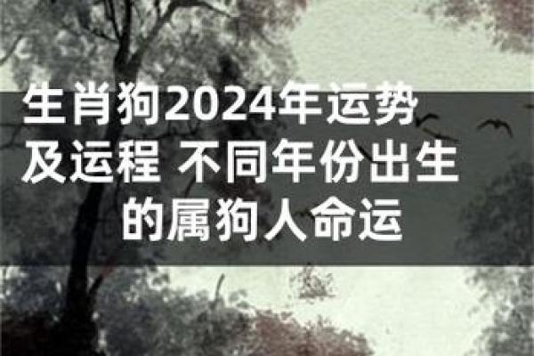 2020年甲子生人的命运解析：从生肖看人生轨迹与机遇