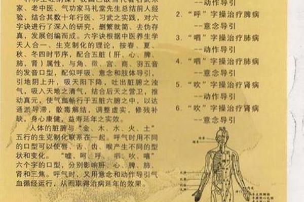 2025年属什么命？探秘五行八字的奥秘与生活启示