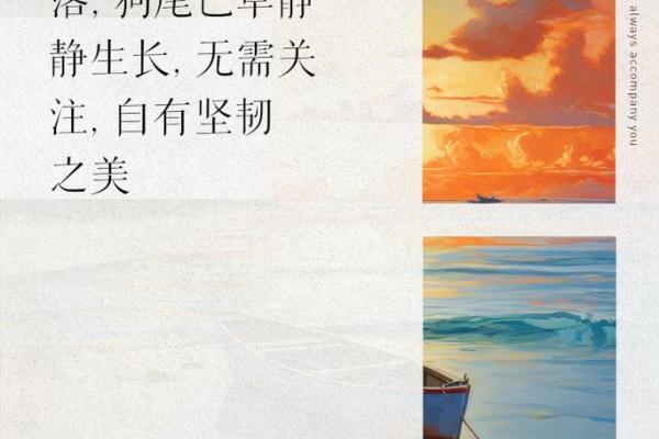 女人背负三条命的命运与坚韧之美