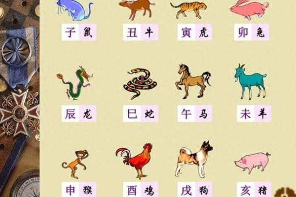 水命五行分析：如何通过水命旺财，一生富贵无忧！