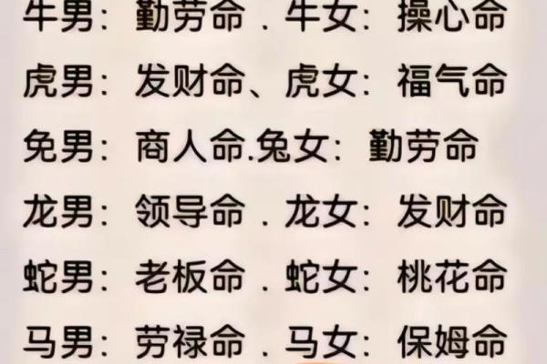 女命养男命的深层含义与启示 女命养男命的深层含义与启示