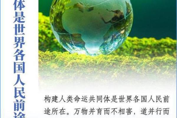 探索猎命师的世界:宫泽命格解析与命运之道 探索猎命师的世界:宫泽命格解析与命运之道