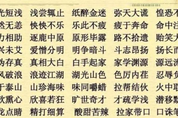 呼什么什么命，成语大全中的智慧结晶