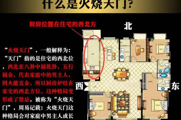 1983属猪命缺什么？解密命理中的五行与运势