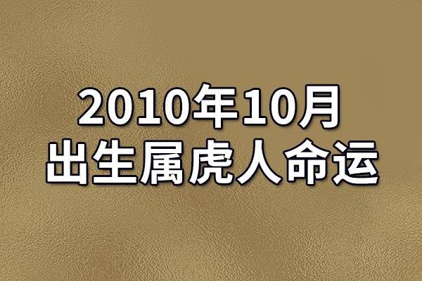 探秘1993年12月11日出生者的命运与人生轨迹