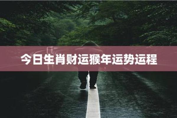 2106年猴年属什么命,解读猴年的命理与运势 2106年猴年属什么命,解读猴年的命理与运势