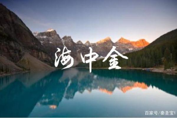 命里木多金多的命运解析：木与金的完美结合之道