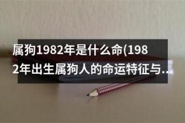1982年出生的人：命运、性格与人生之旅的完美结合