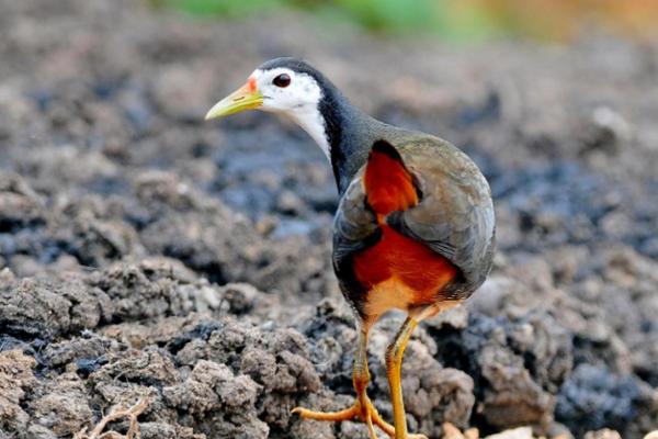 女人娘娘命：揭示女性命运与灵性之美的奥秘