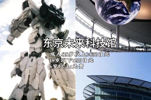 探索日代表什么命:揭秘日元的深层含义与影响力 探索日代表什么命:揭秘日元的深层含义与影响力