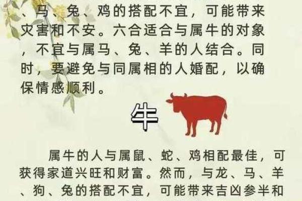 12属相老婆各自命理解析：如何搭配更佳相伴生活