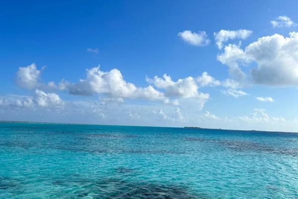 黄金珍珠的神秘象征与生活启示 黄金珍珠的神秘象征与生活启示