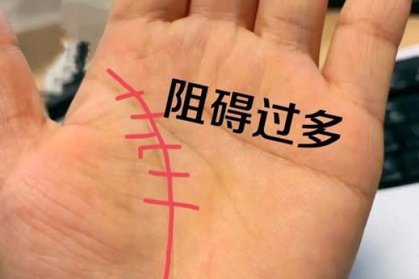 富贵命手的秘密：如何选择护手霜让你的双手更迷人？