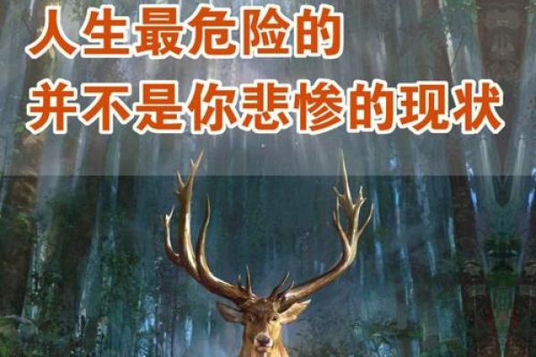 2019年12月10日的命运启示：逆境中的成长与改变