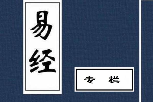 应龙之命：探寻易经中的智慧与命运之道