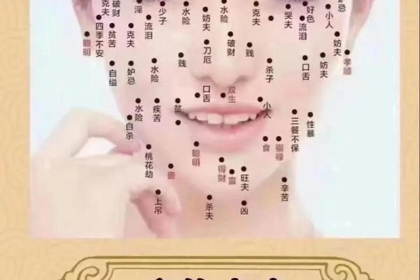 缘是命,命也是缘——探寻命运的交织与哲思 缘是命,命也是缘——探寻命运的交织与哲思