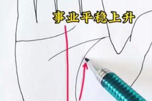 1995年8月8日出生的命运与人生动向分析 1995年8月8日出生的命运与人生动向分析