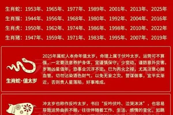 1991年正月11日出生的命理解读与人生启示