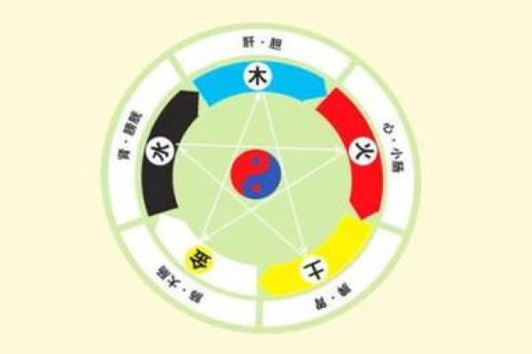 木命之人买车颜色选择：风水与性格的完美结合