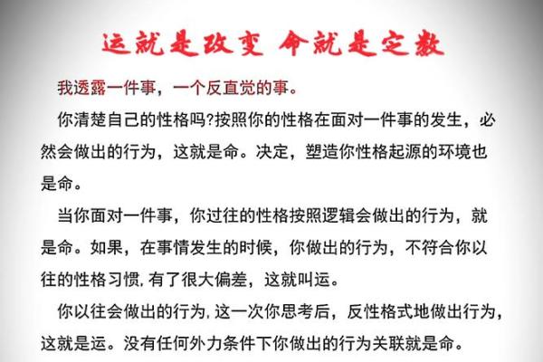 2014年马年出生的人:命运与性格的深度解析 2014年马年出生的人:命运与性格的深度解析