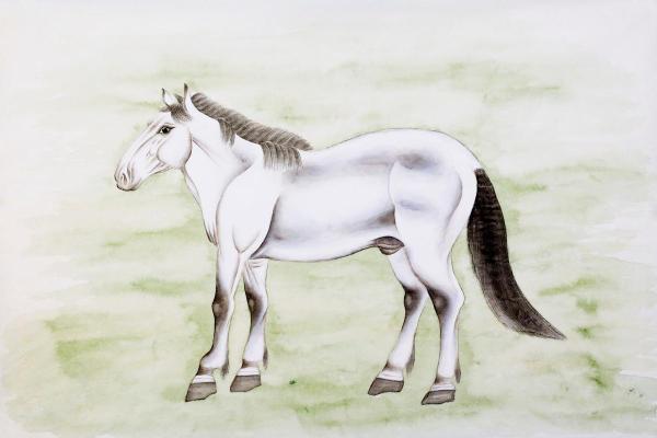 2014年马年出生的人:命运与性格的深度解析 2014年马年出生的人:命运与性格的深度解析