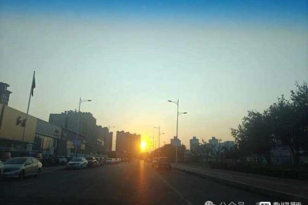 命理中的凤凰:超越美丽,象征重生与繁荣的神秘力量 命理中的凤凰:超越美丽,象征重生与繁荣的神秘力量