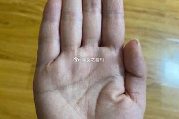 剑锋金命与命理财运的奇妙关系探秘