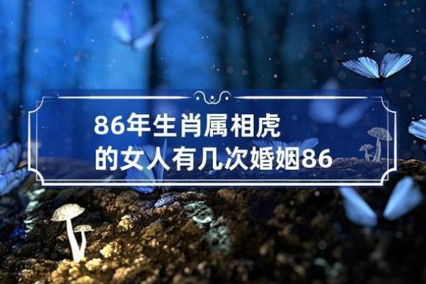 1986年属虎的命运分析及人生智慧