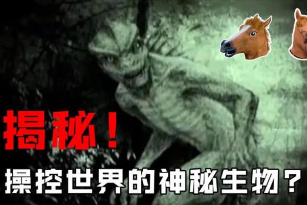 70岁狗狗的命运与金命的神秘联系探讨 70岁狗狗的命运与金命的神秘联系探讨