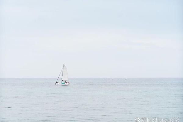 命运之舵:如何把握人生的航向与选择 命运之舵:如何把握人生的航向与选择