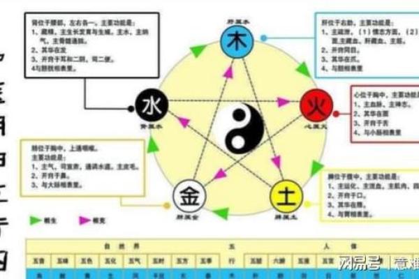 木命与土命的相克之道：探秘背后的不和缘由