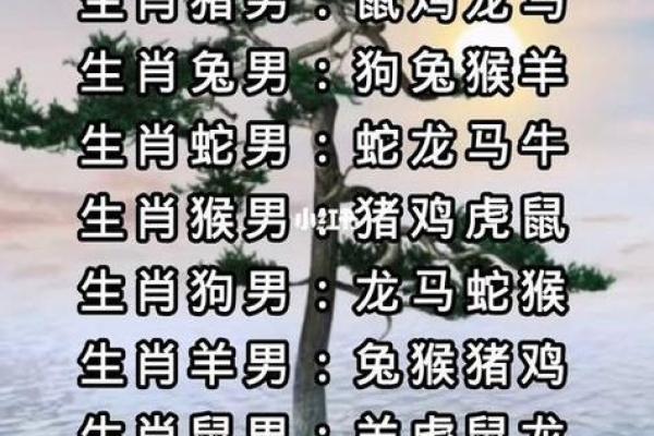 1987年属猪人的命理解析:智慧与富贵的交织之路 1987年属猪人的命理解析:智慧与富贵的交织之路
