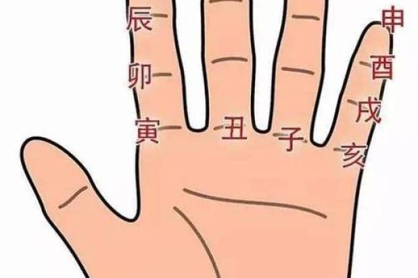 探索城墙土命与其他命理的最佳搭配:揭示命理之美 探索城墙土命与其他命理的最佳搭配:揭示命理之美