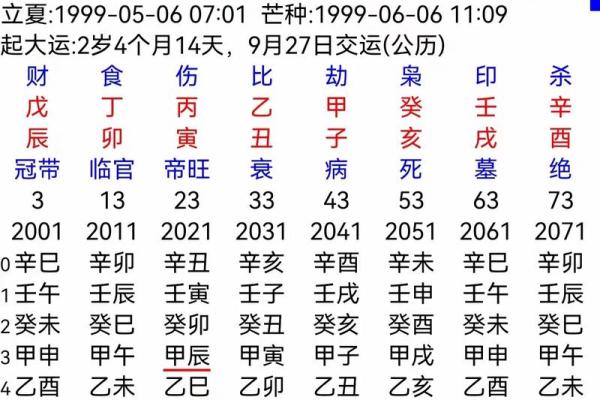 探寻己巳命的智慧：适合的坐山与人生方向
