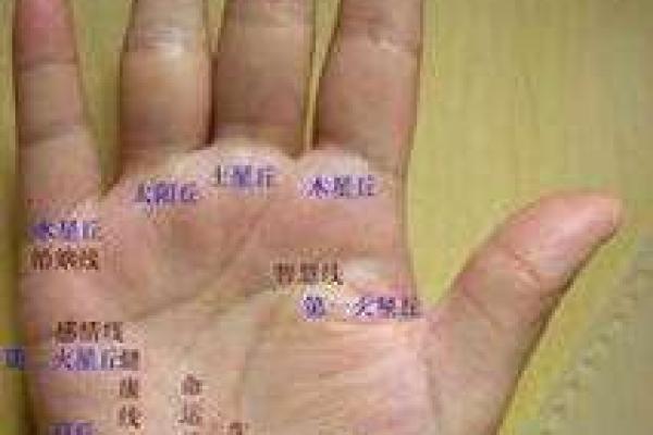 探索19980623的命理奥秘:命运与性格的深度解析 探索19980623的命理奥秘:命运与性格的深度解析