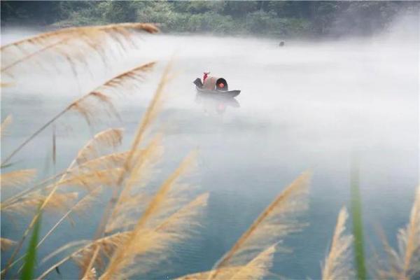 解密“压床”现象:你是否感受到无形的压力? 解密“压床”现象:你是否感受到无形的压力?