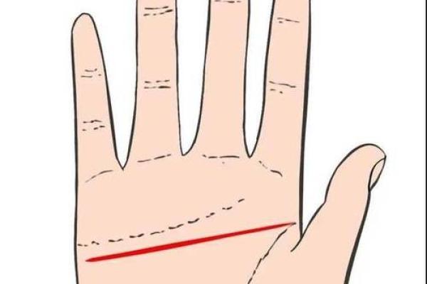 解密11.03出生者的命运与性格特征,探寻独特人生之路 解密11.03出生者的命运与性格特征,探寻独特人生之路