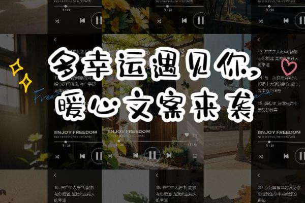 九月的幸运：揭示1999年哪个月份最适合你的命运