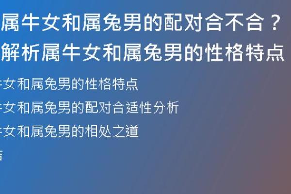 兔年出生的人生命运与性格解析 兔年出生的人生命运与性格解析