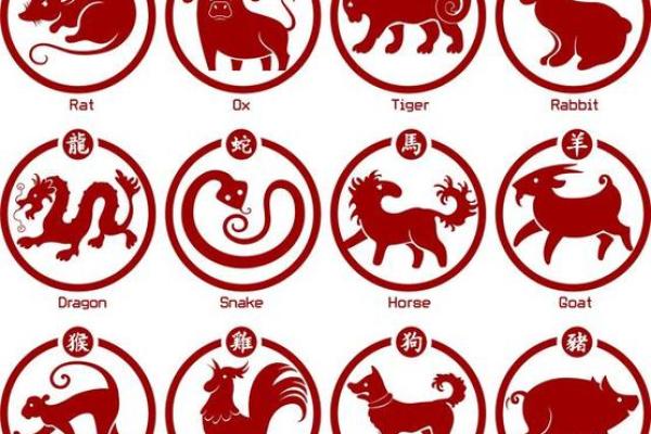 2023兔年运势解读：生肖兔的命理与生活指南